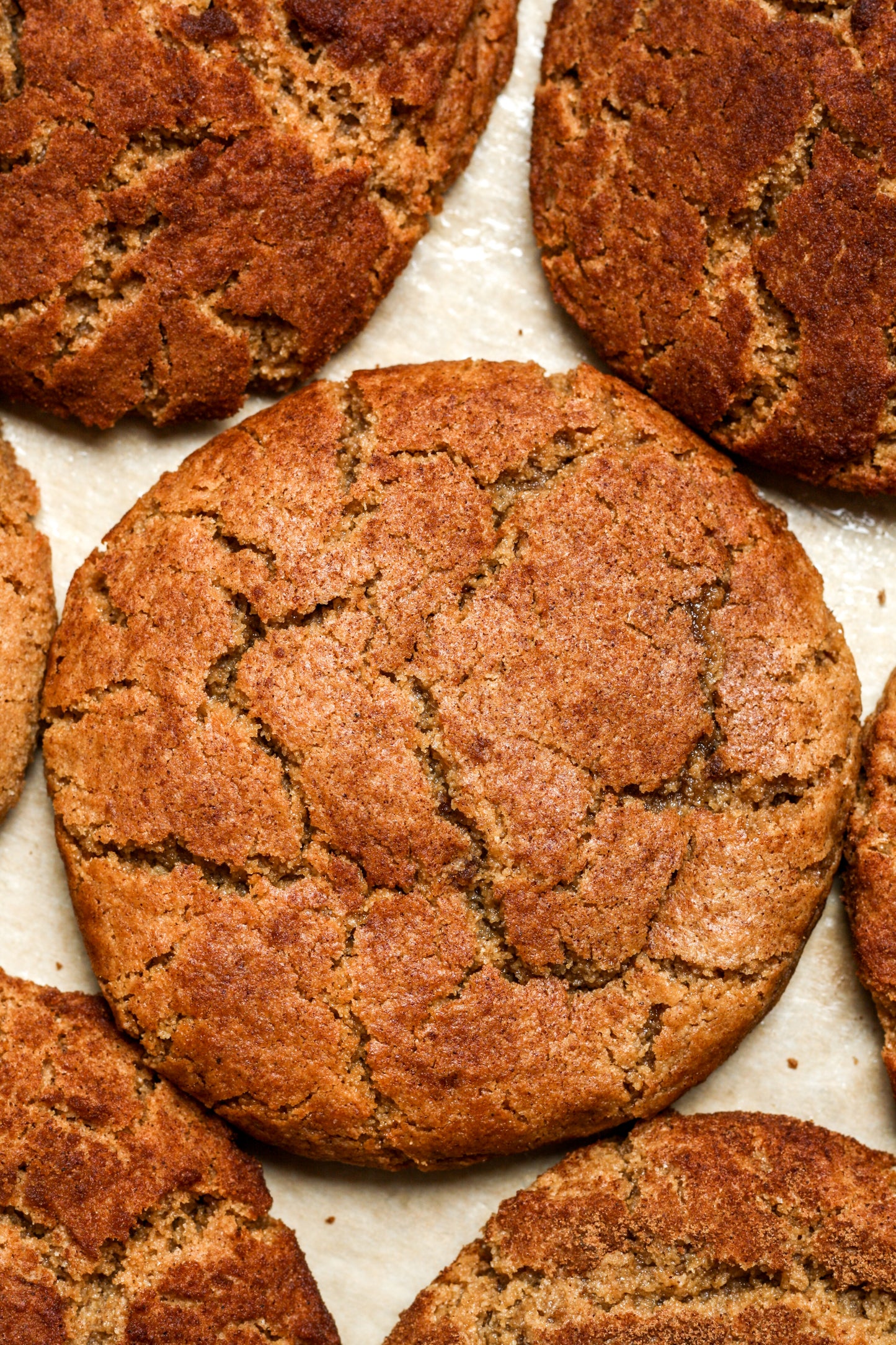 Snickerdoodle Cookies