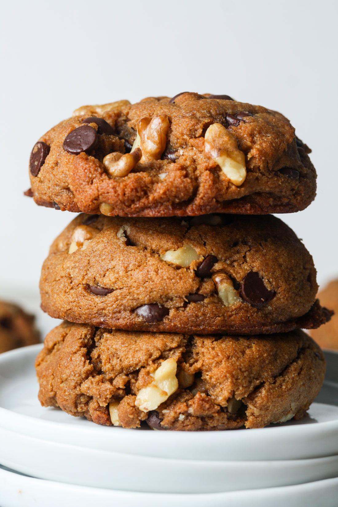 Walnut Chocolate Chip
