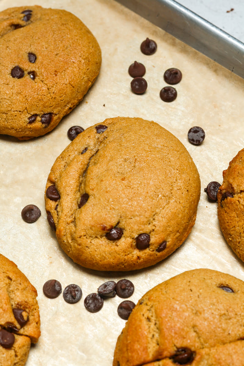 Protein cookies fresh on the pan